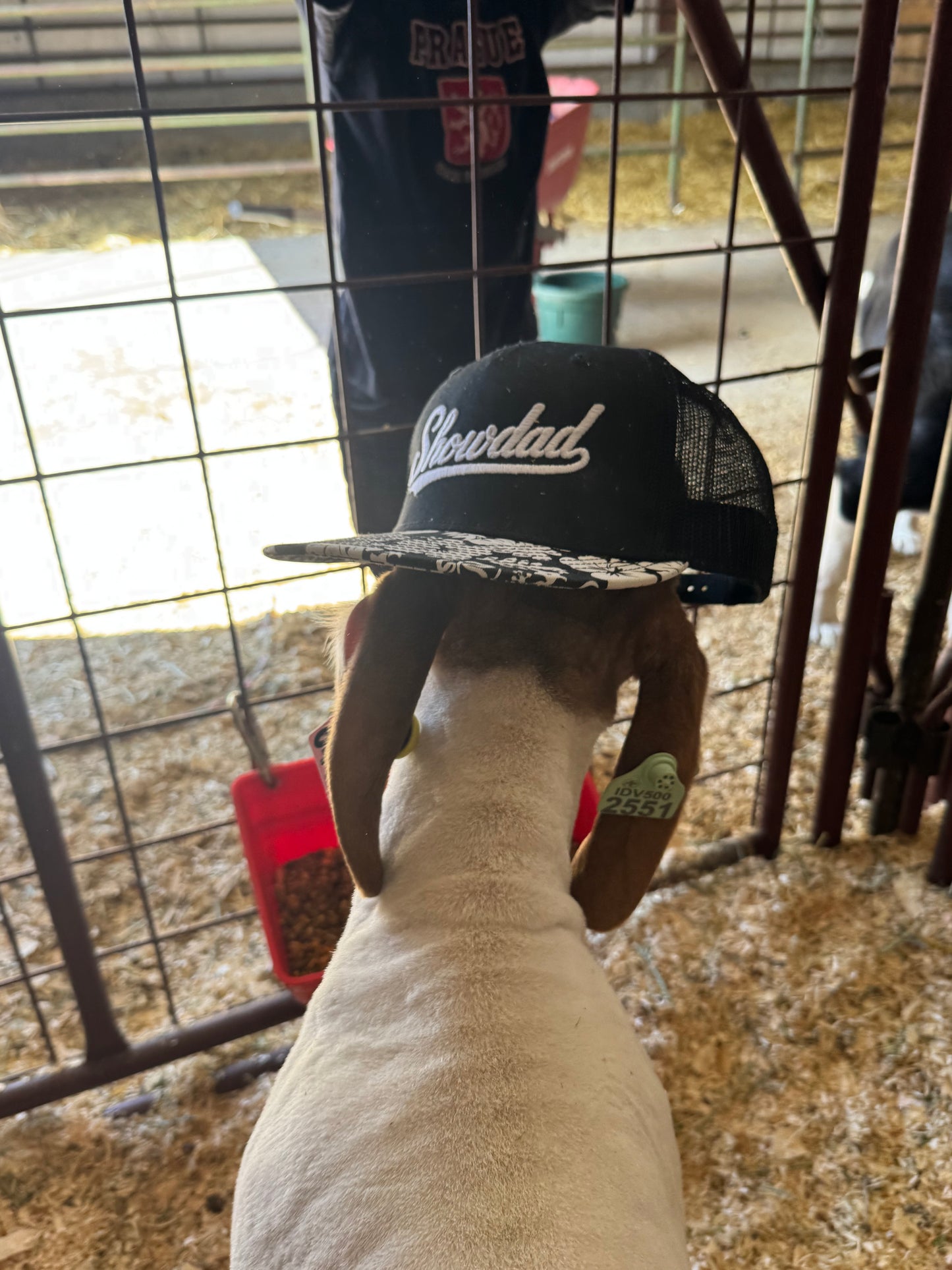 Showdad Youth Fundraiser Cap